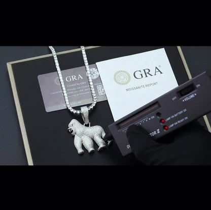 Gorilla